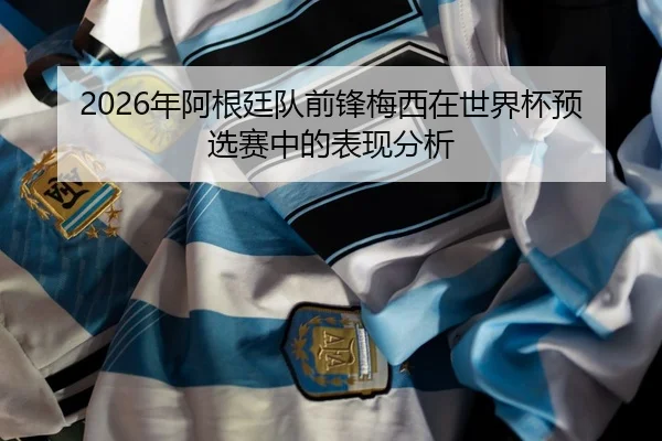 nian-a-gen-ting-dui-qian-feng-mei-xi-zai-shi-jie-bei-yu-xuan-sai-zhong-de-biao-xian-fen-xi-2-339.jpg