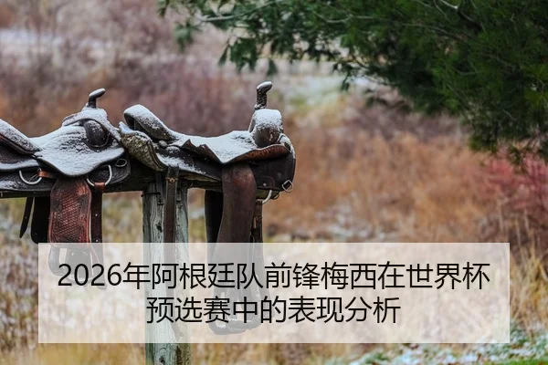 2026年阿根廷队前锋梅西在世界杯预选赛中的表现分析