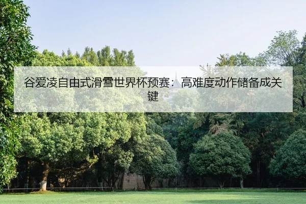 谷爱凌自由式滑雪世界杯预赛：高难度动作储备成关键