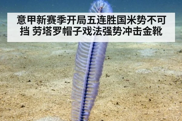 意甲新赛季开局五连胜国米势不可挡 劳塔罗帽子戏法强势冲击金靴